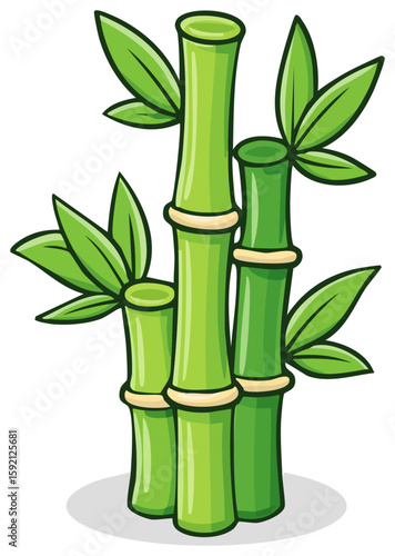 Lucky green bamboo clipart illustration, isolated 