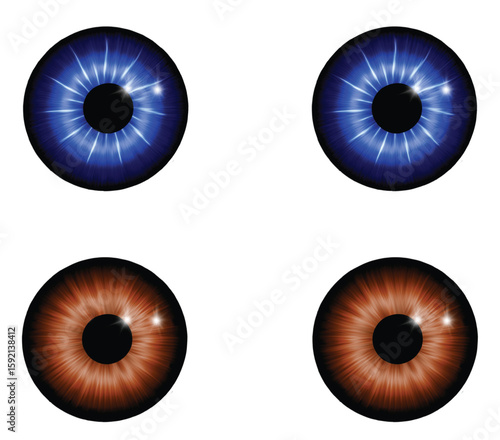 vector set of eye blue and brown, eyeball, iris close-up isolated on transparent