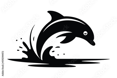 Silhouette of a dolphin leaping from water