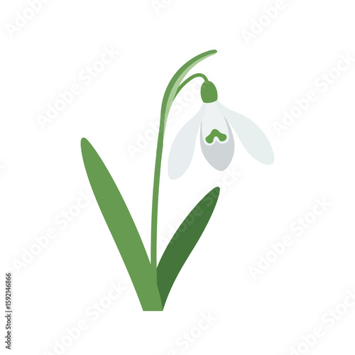 Cute Spring Snowflake Flower Illustration
