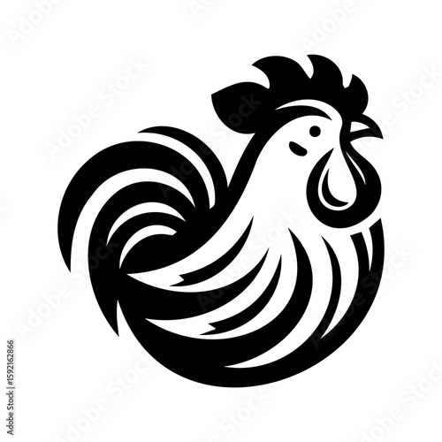 rooster isolated on white background