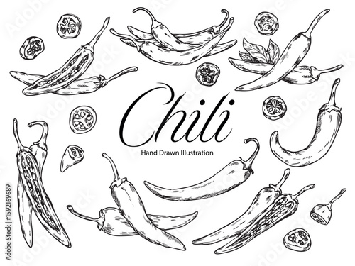 Set of hand drawn chili peppers outline drawing food illustration