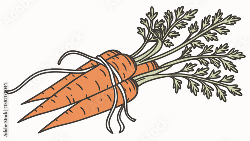 vector-of-baby-carrots-bundled-together- (1).svg