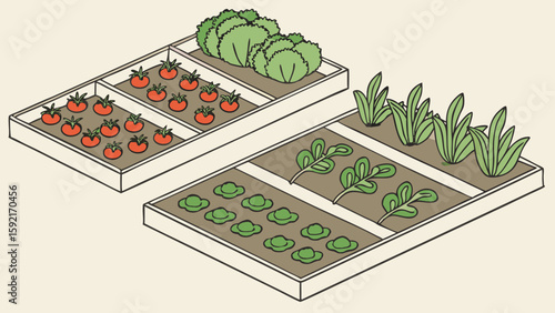 icon style vector of a vegetable garden layout