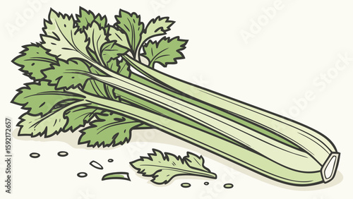 vector of celery stalks whith crisp green 