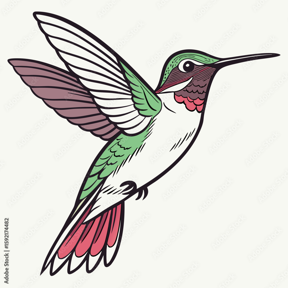 Obraz premium artwork of a hummingbird mid flight