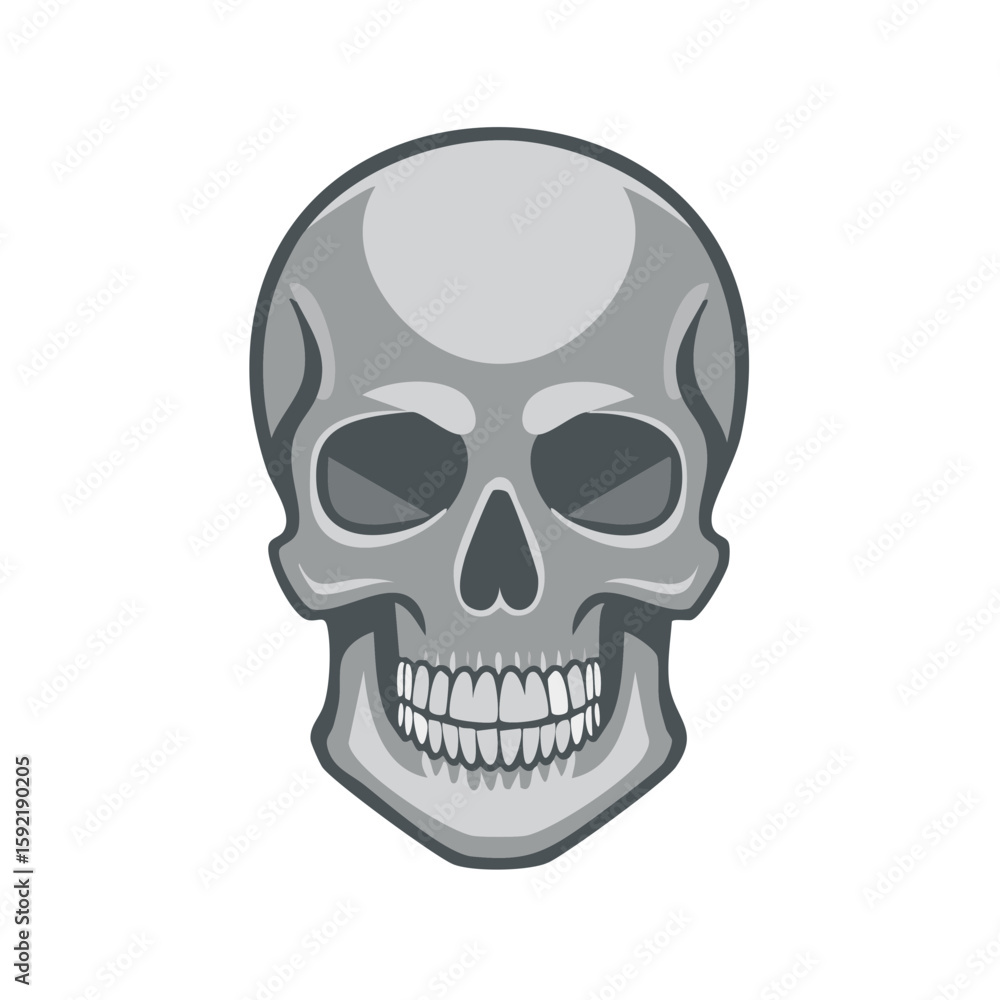 Fototapeta premium Gray Human Skull Illustration with Detailed Teeth Anatomy and Distinctive Features