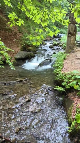Handheld video of a clear mountain stream flowing over rocks through lush green forest on the trail to Shypit Waterfall in the Carpathians