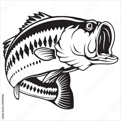Aggressive Largemouth Bass Leaping Fishing