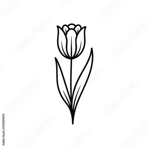 Simple black line art of a tulip flower with stem and leaves bloom botanical