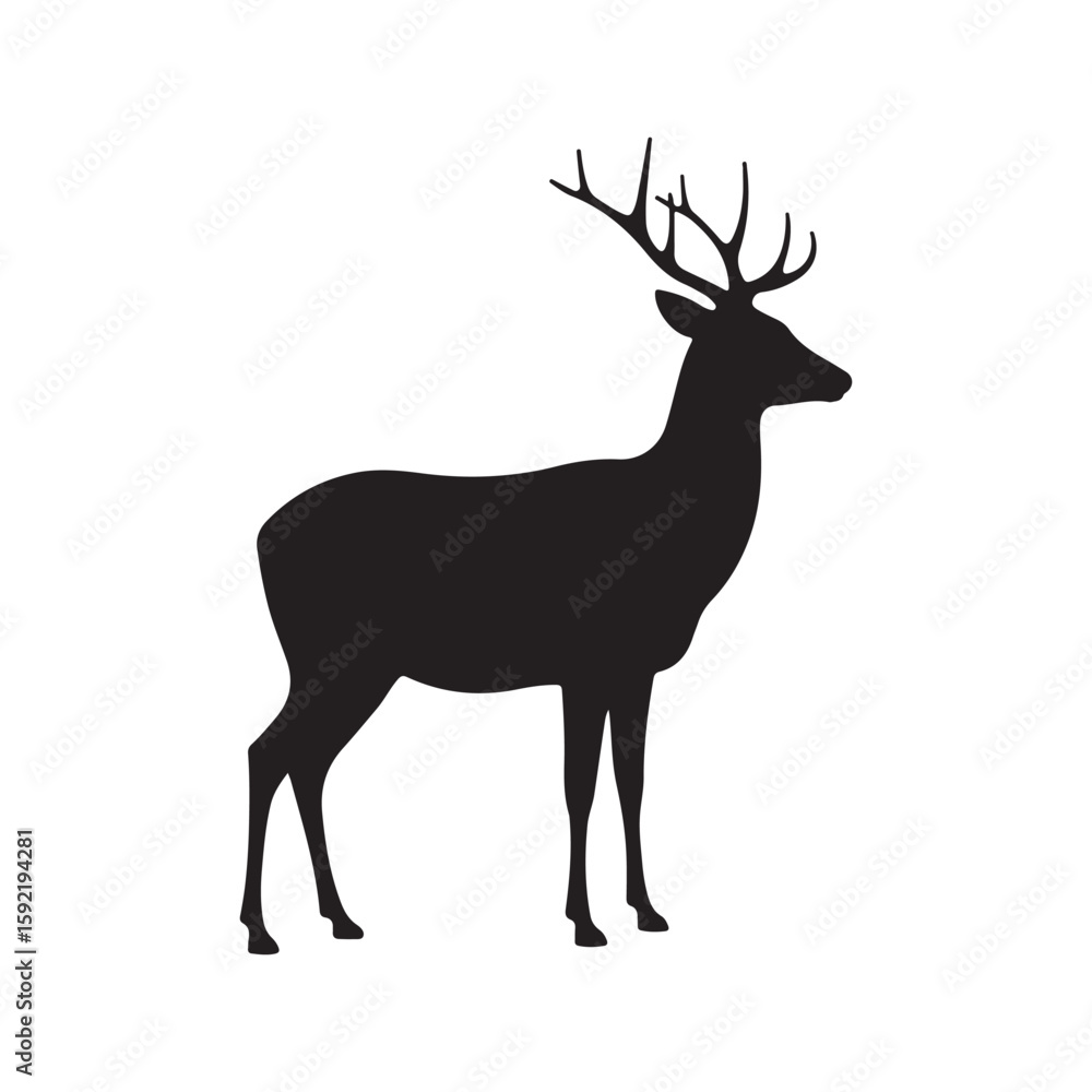 Fototapeta premium A deer- Victor- Image- Design- Design- Background- White- has been kept.