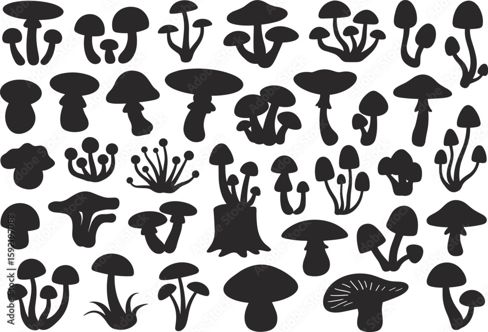 Mushroom vector collection, silhouette set, botanical fungi illustrations, nature drawing, black and white art, flat graphic style, cad design Mushroom vector collection, silhouette set, botanical fungi illustrations, nature drawing, black and white art, flat graphic style, cad design