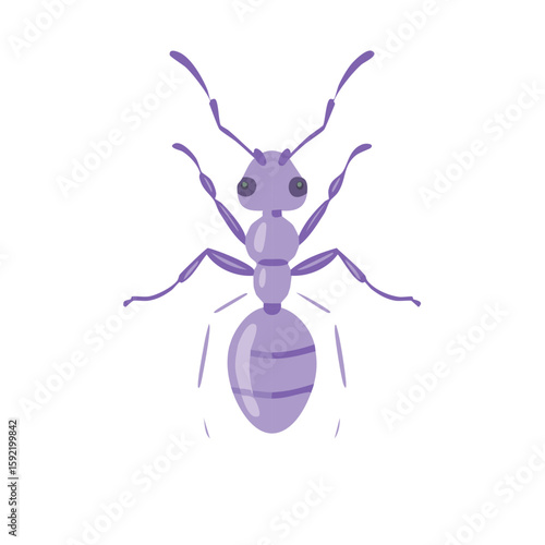 Illustrated Lavender Ant Facing Front, Displaying Detailed Anatomy