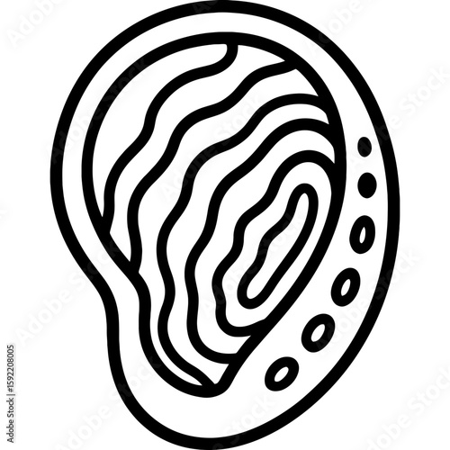 Abalone shell ear outline icon vector