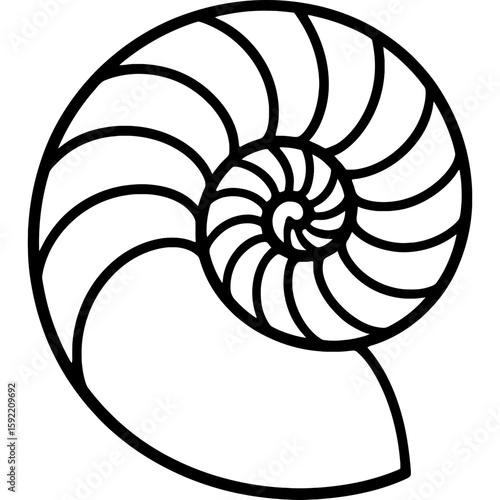 Nautilus shell chambered spiral outline icon vector