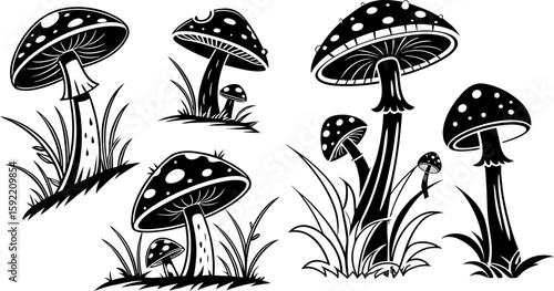 Spotted Mushroom Silhouette. Mushroom isolated vectors silhouettes. Set of black and white mushroom silhouettes