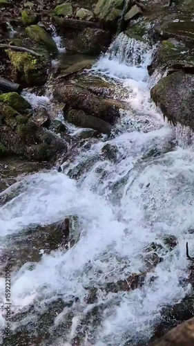 Handheld video of a clear mountain stream flowing over rocks through lush green forest on the trail to Shypit Waterfall in the Carpathians