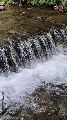 Handheld video of a clear mountain stream flowing over rocks through lush green forest on the trail to Shypit Waterfall in the Carpathians