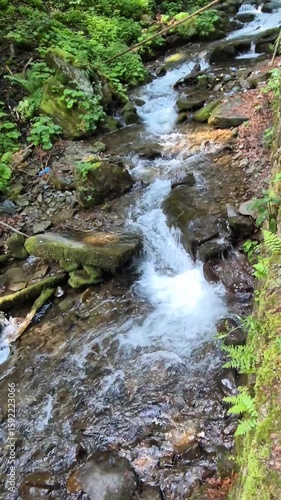 Handheld video of a clear mountain stream flowing over rocks through lush green forest on the trail to Shypit Waterfall in the Carpathians