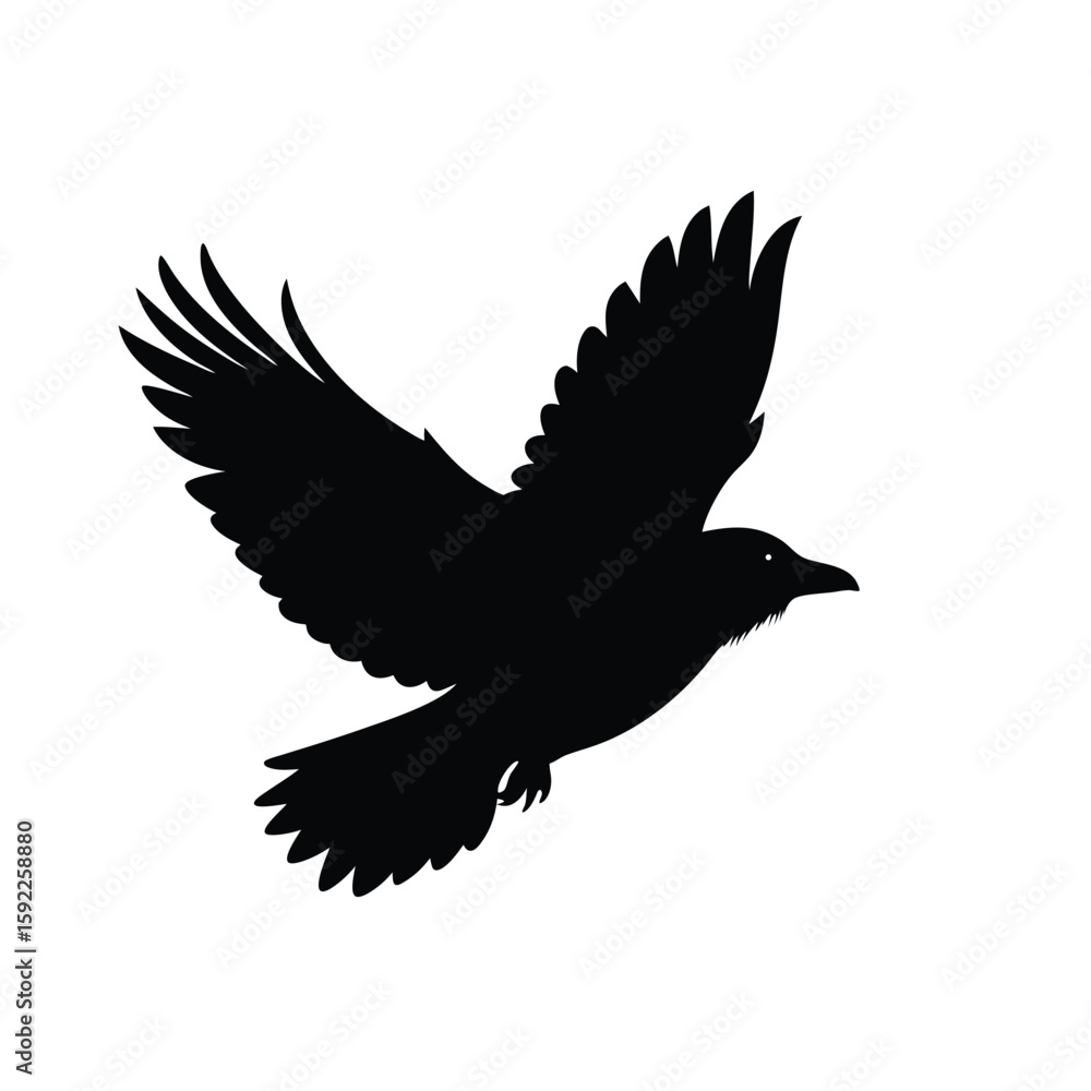 Obraz premium Crow Flying Gracefully Across The Open Sky Line Art Vector illustration