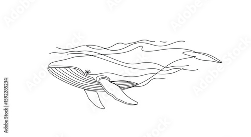 Elegant outline drawing of a large whale swimming gracefully beneath ocean waves