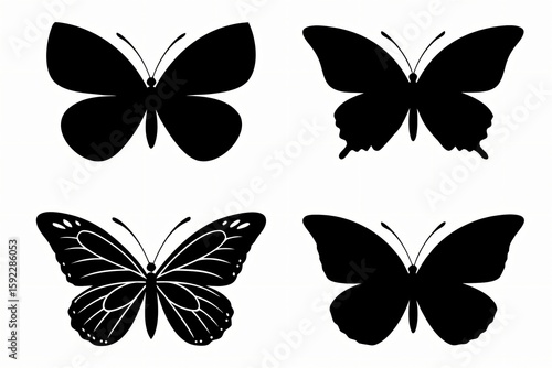 Black butterfly silhouettes on white insect wing