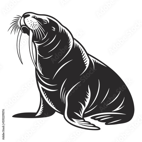 A powerful walrus with prominent tusks is depicted