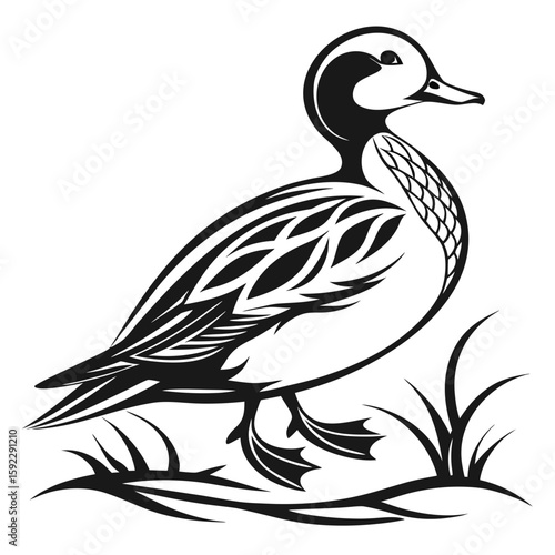 A duck standing in grass, isolated on white background