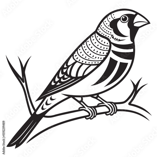 Ornate zebra finch perched on a branch