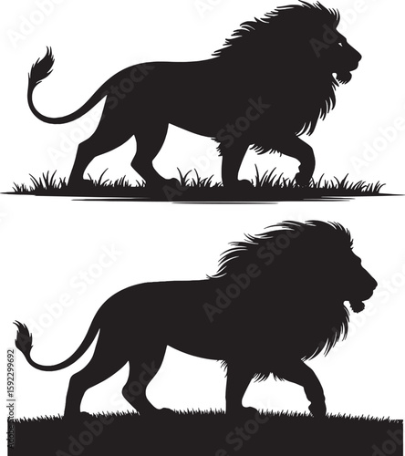 Silhouette of lion walking in grass symbolizing strength power leadership courage and king of jungle in natural wildlife environment