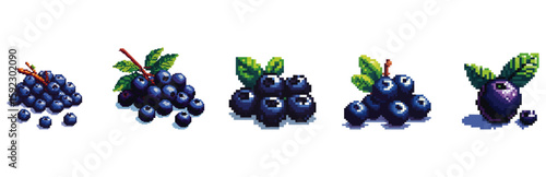 Five illustrations showcase various arrangements of fresh, ripe blueberries with leaves.