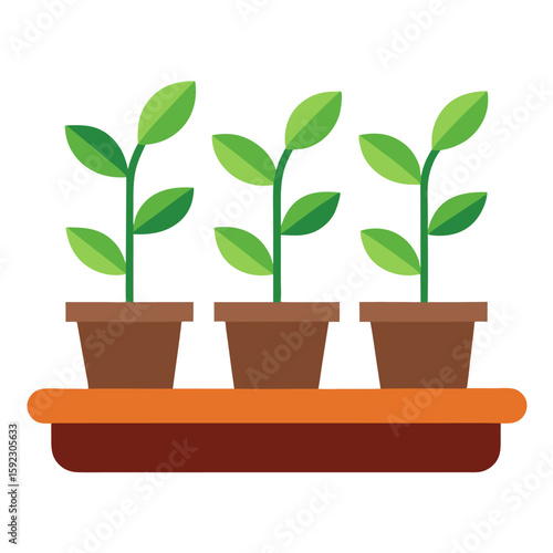 Seedling tray with sprouts plants in pots vector icon on white background.