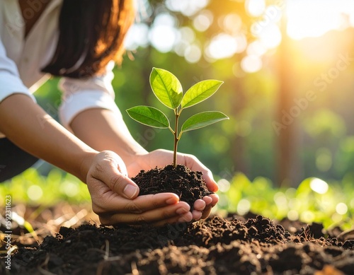 Young Person Planting Tree Outdoors, Eco-Friendly Concept with Sunshine and Community