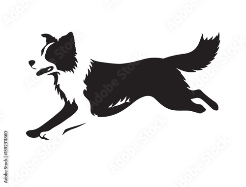 Icon of a Border Collie mid-run or standing, with alert ears and bushy tail
