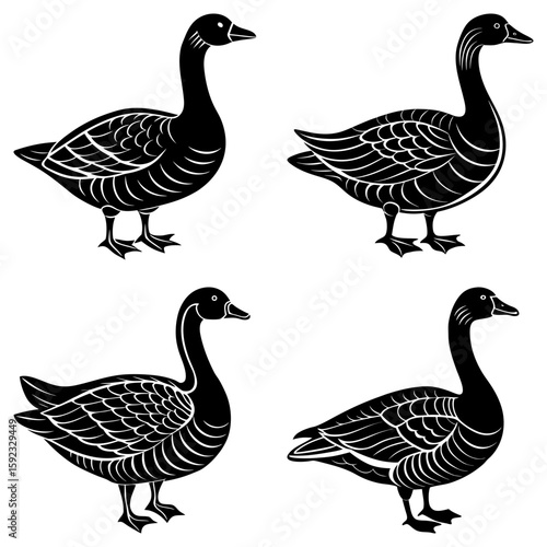 Four stylized geese standing in black and white with intricate feather details and elegant neck curves