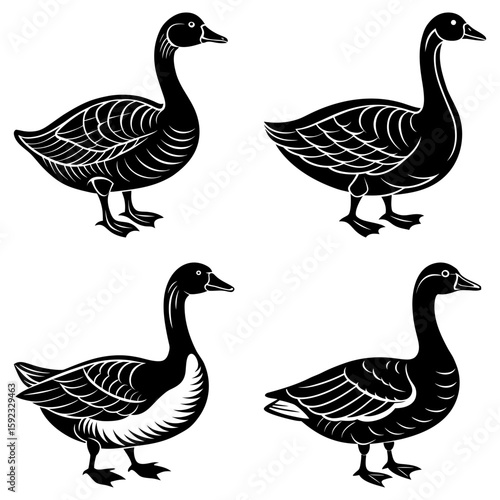Four stylized geese in black and white with detailed feather patterns in various poses and orientations
