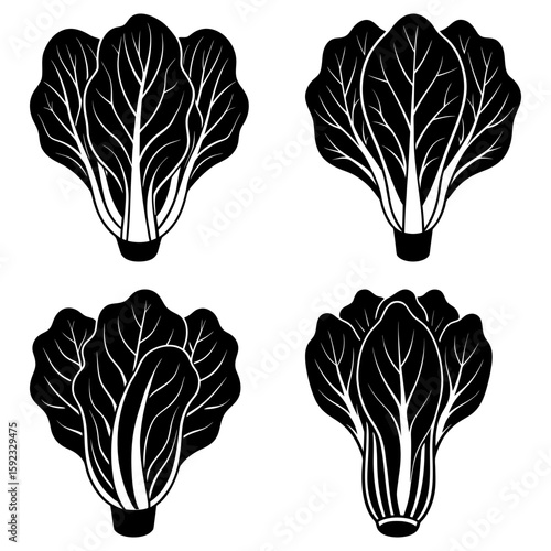 Four stylized bok choy illustrations in black and white showcasing leafy vegetable designs in a pattern