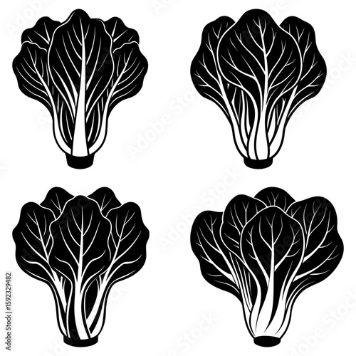 Four stylized bok choy illustrations in black and white showing detailed leaf and stem structures design element