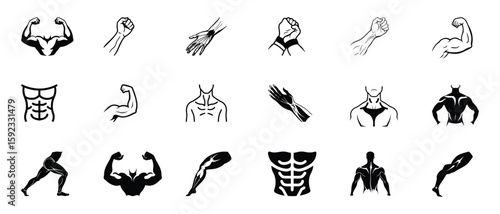 Collection of stylized human muscle anatomy icons for health and fitness