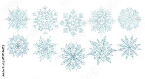 Ten stylized snowflakes displayed in two rows with intricate designs on a white background artfully arranged