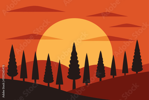 sunset among cypress trees