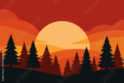 sunset on forest clearing
