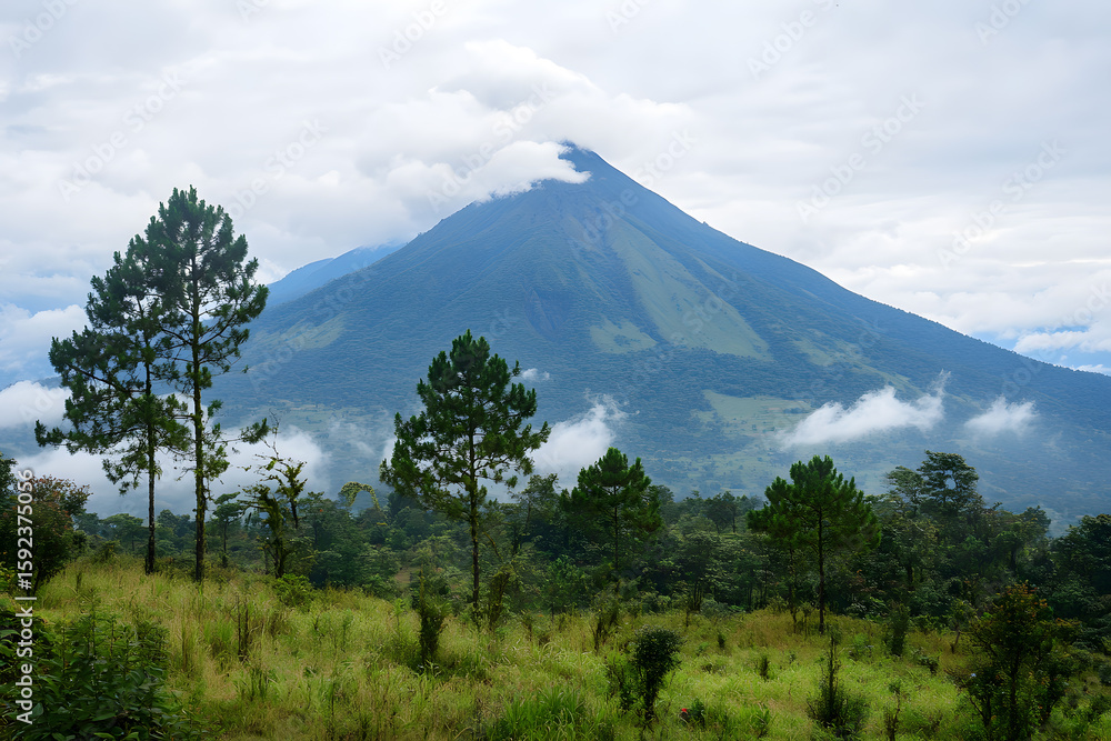 Fototapeta premium a mountain with a cloud covered top and trees