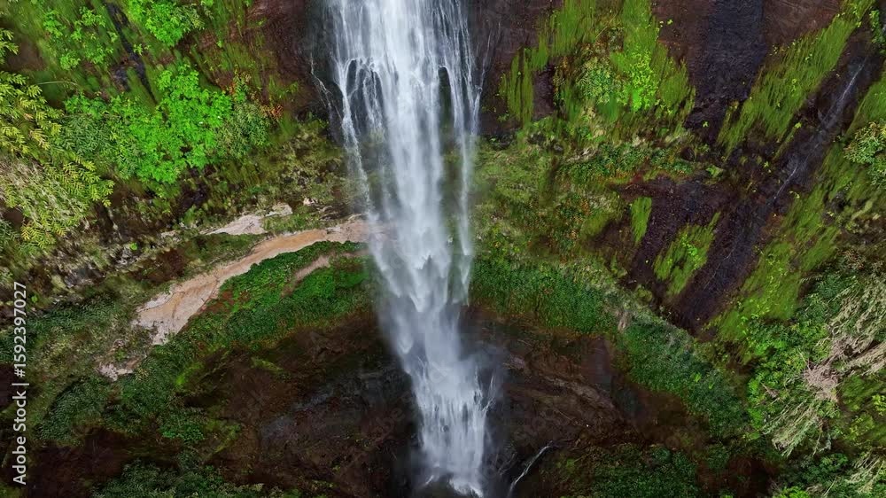 Aerial View of a Long Waterfall in Madeira, Portugal. Slow Drone Flyover Showcasing the Natural Beauty of Water Flowing Through Landscape. Aerial View of a Long Waterfall in Madeira, Portugal. Slow Drone Flyover Showcasing the Natural Beauty of Water Flowing Through Landscape.