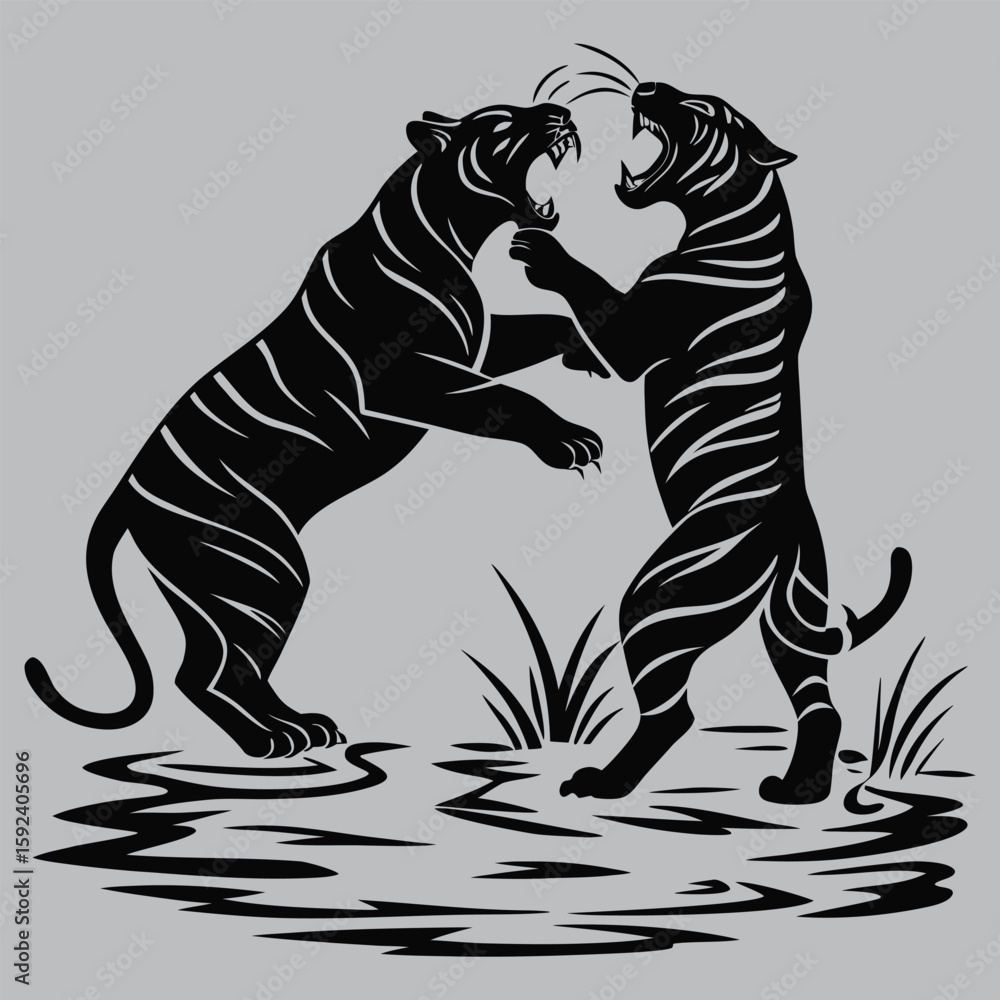 Fototapeta premium Two Tigers Fighting in Shallow Water Silhouette vector design art and illustration
