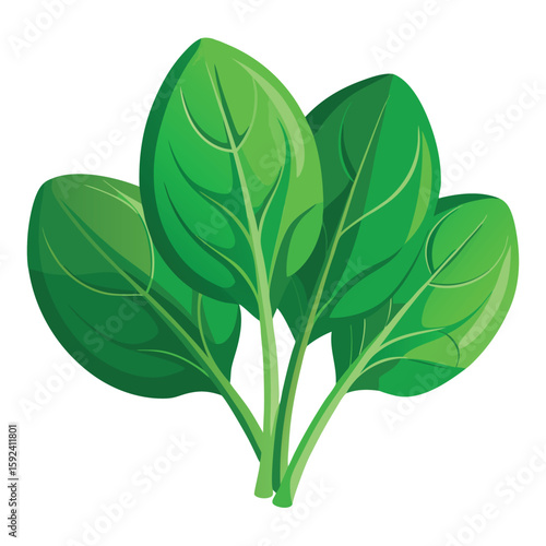 Healthy handful of fresh spinach leaves, vibrant green and crisp, isolated on a white background.
