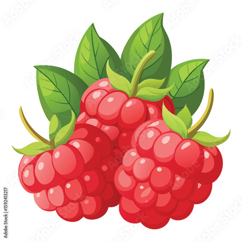 Juicy handful of fresh raspberries, vibrant red and sweet, isolated on a white background.