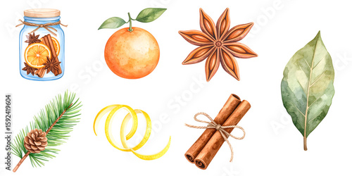 Fototapeta Naklejka Na Ścianę i Meble -  Watercolor winter spices, orange, pine and bay leaf on transparent background