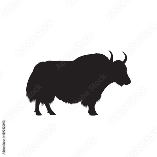 Black silhouette of a wild yak standing on a white background