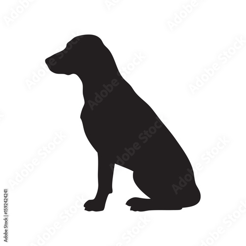 Silhouette of a Seated Dog with a Focused Gaze in Profile